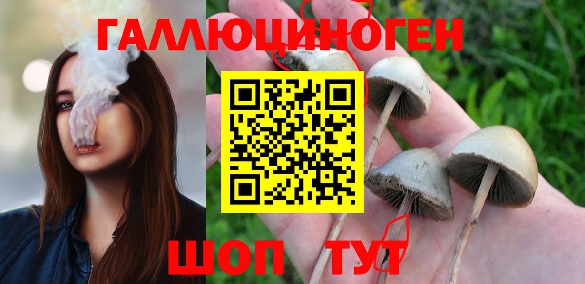Нягань  Псилоцибиновые грибы Magic Shrooms  продажа наркотиков  Вход с VPN 